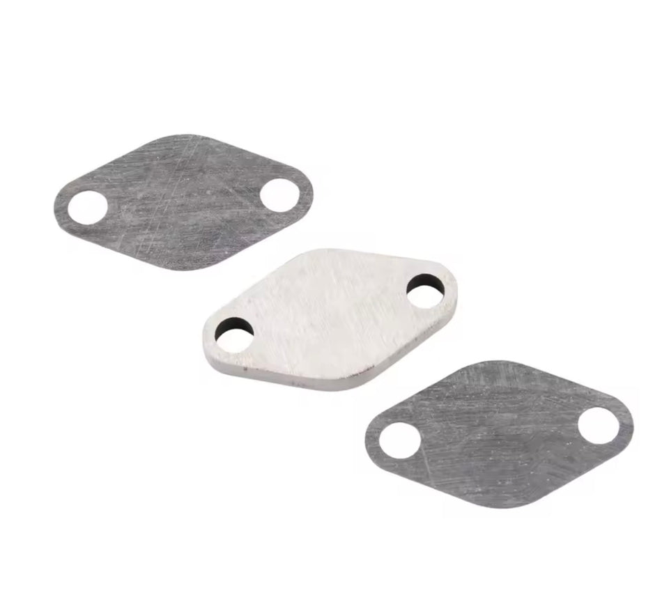 M57/M47 EGR OFF plate.