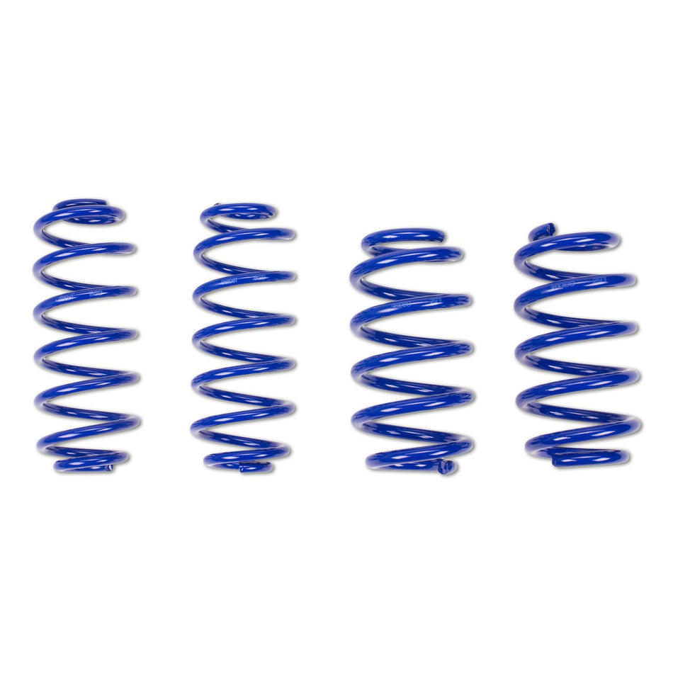 ap Sportfedern BMW E24 und E28 – 40/30 mm