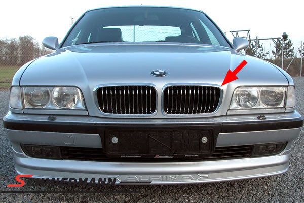 BMW Original Niere Facelift Vollchrom – E38